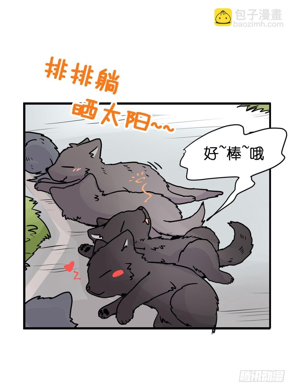 狼传奇：英雄、王者、救世主