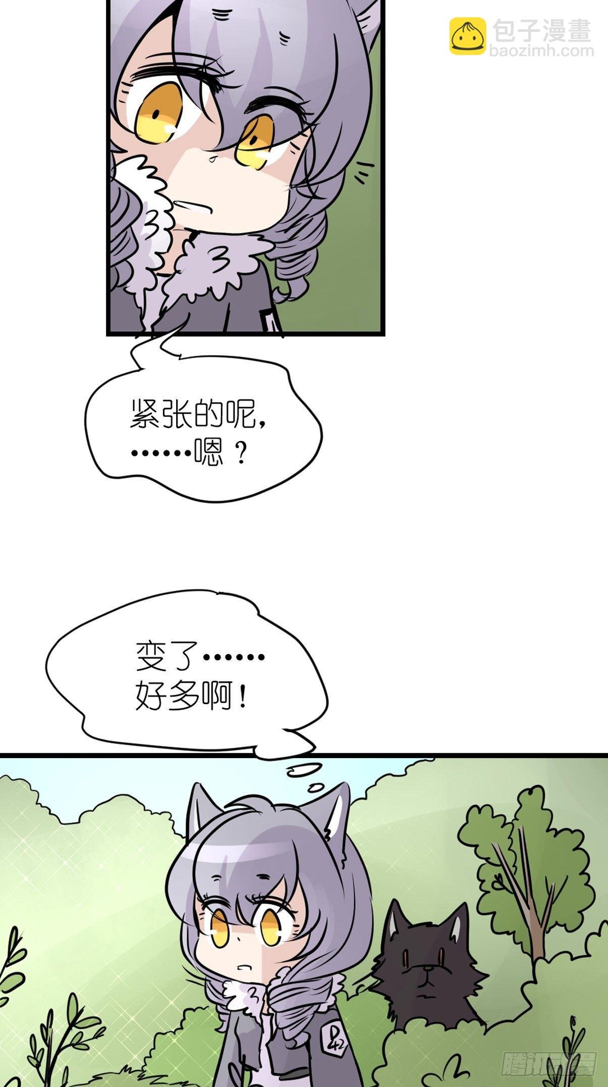 狼传奇：英雄、王者、救世主