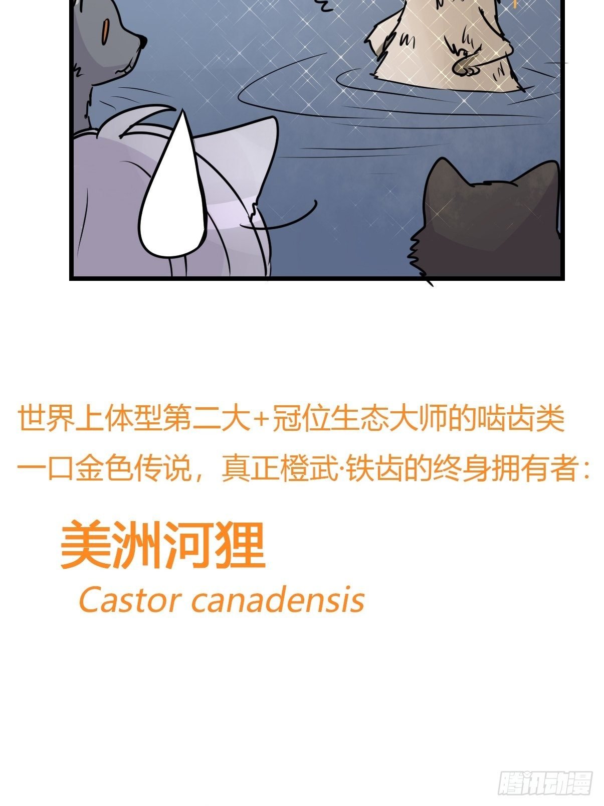 狼传奇：英雄、王者、救世主