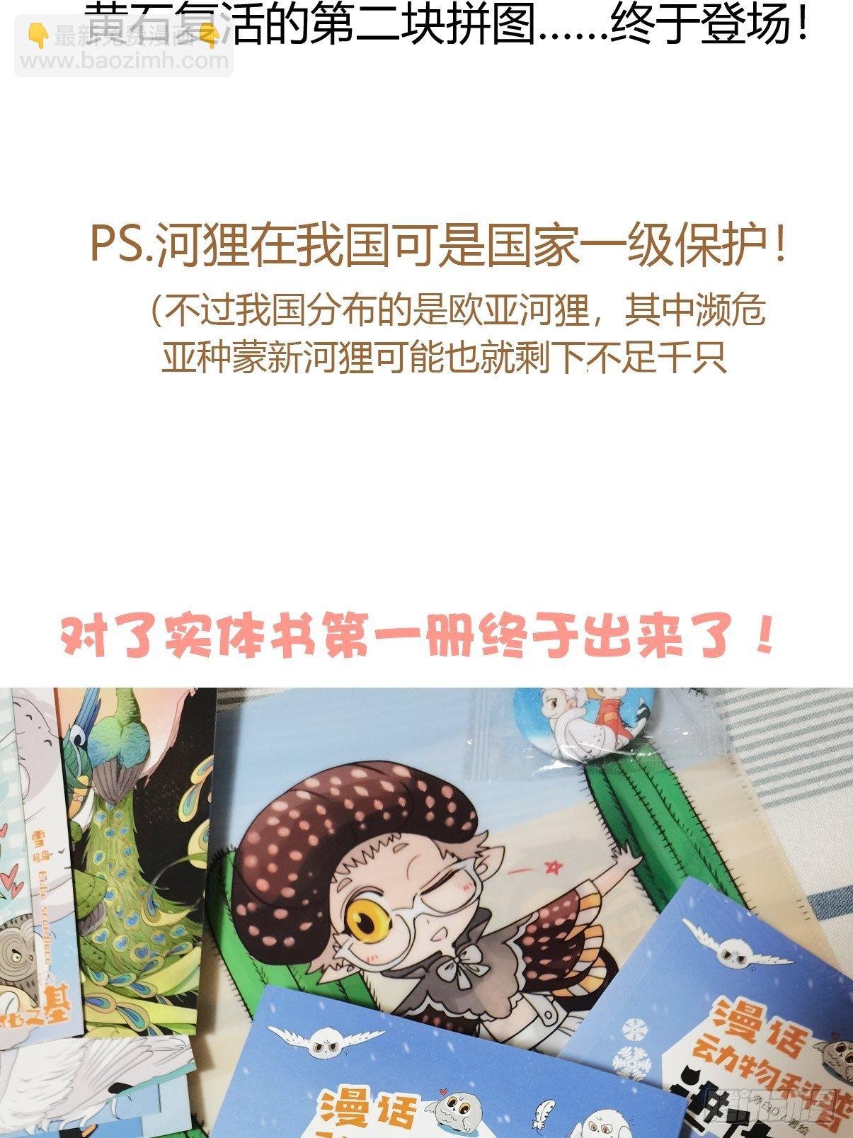 狼传奇：英雄、王者、救世主