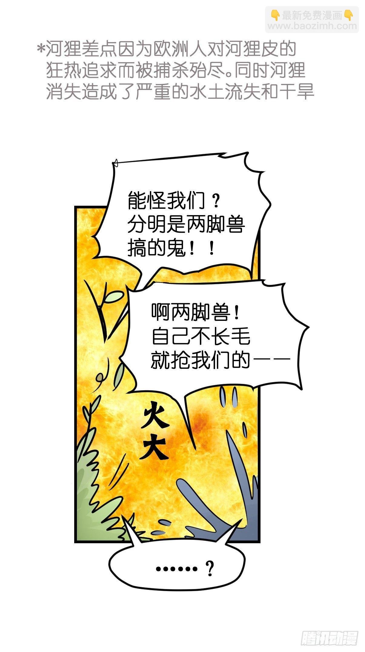 狼传奇：自然运行的力量