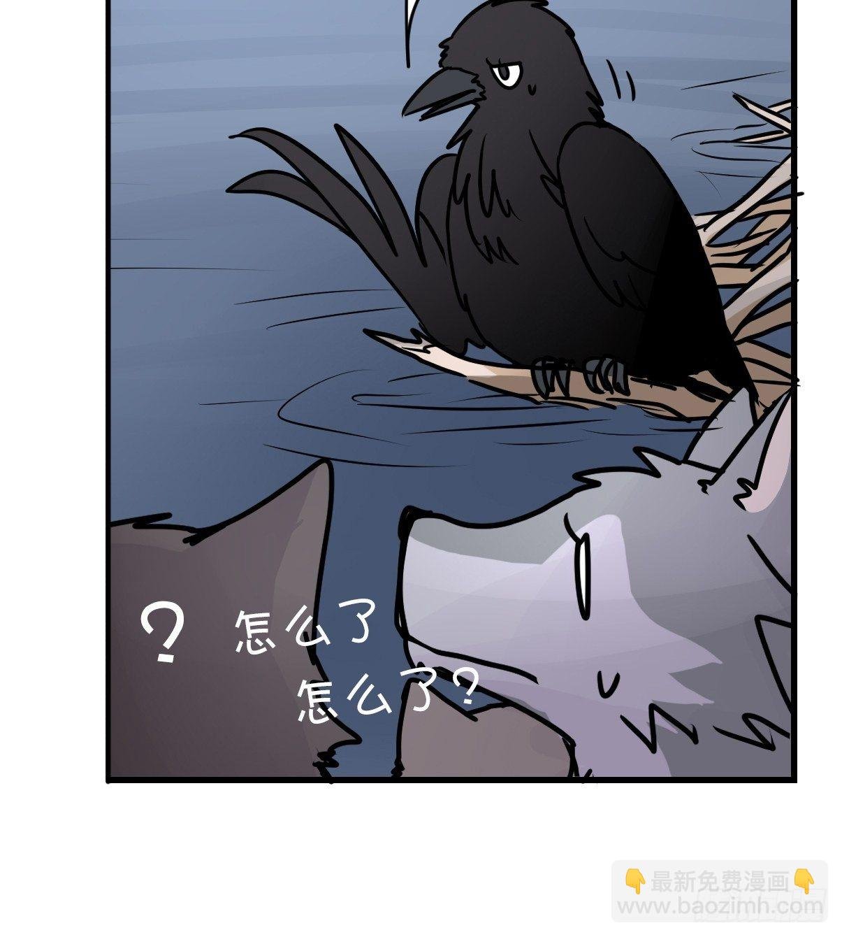 狼传奇：自然运行的力量