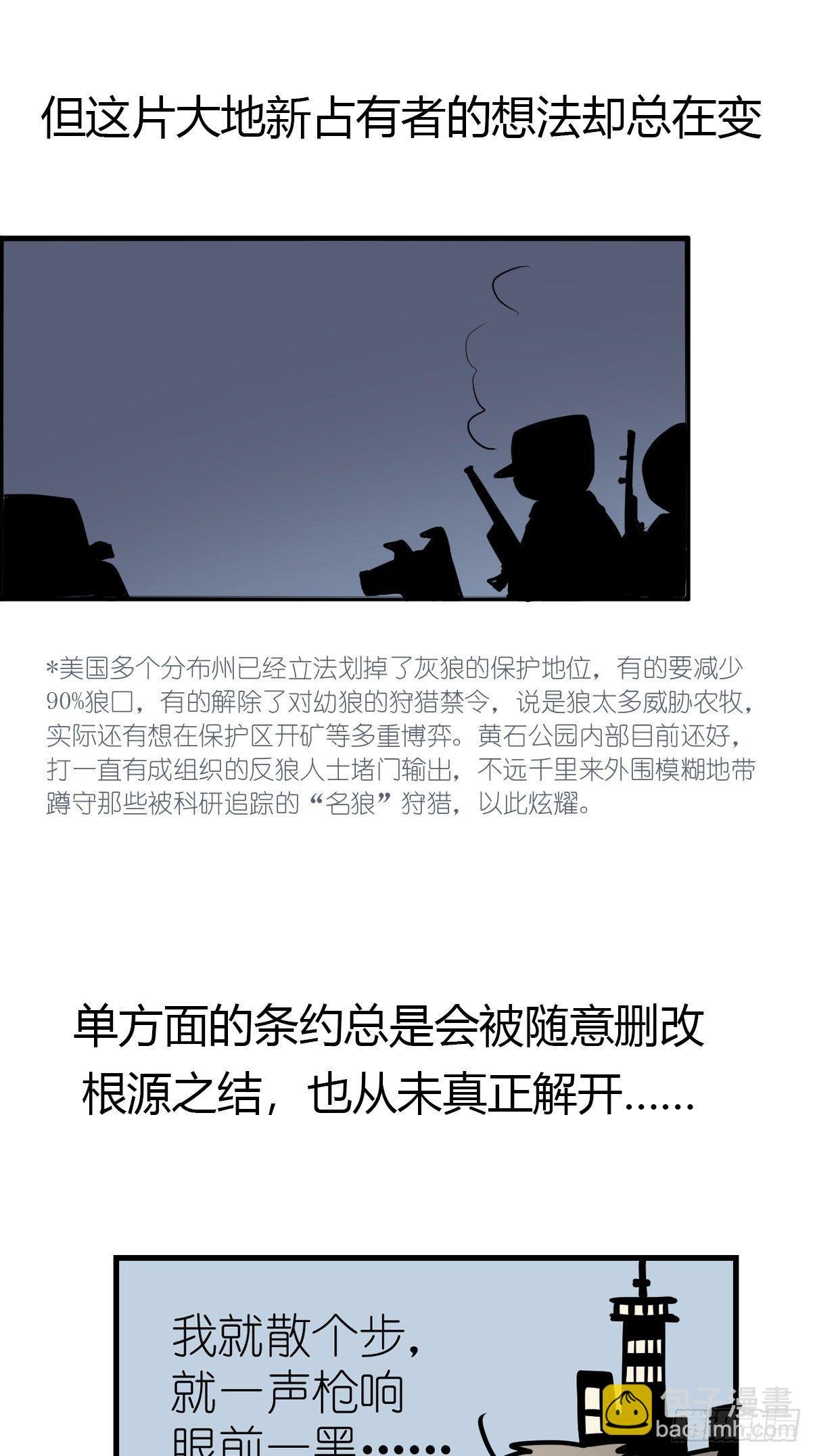 狼传奇：自然运行的力量