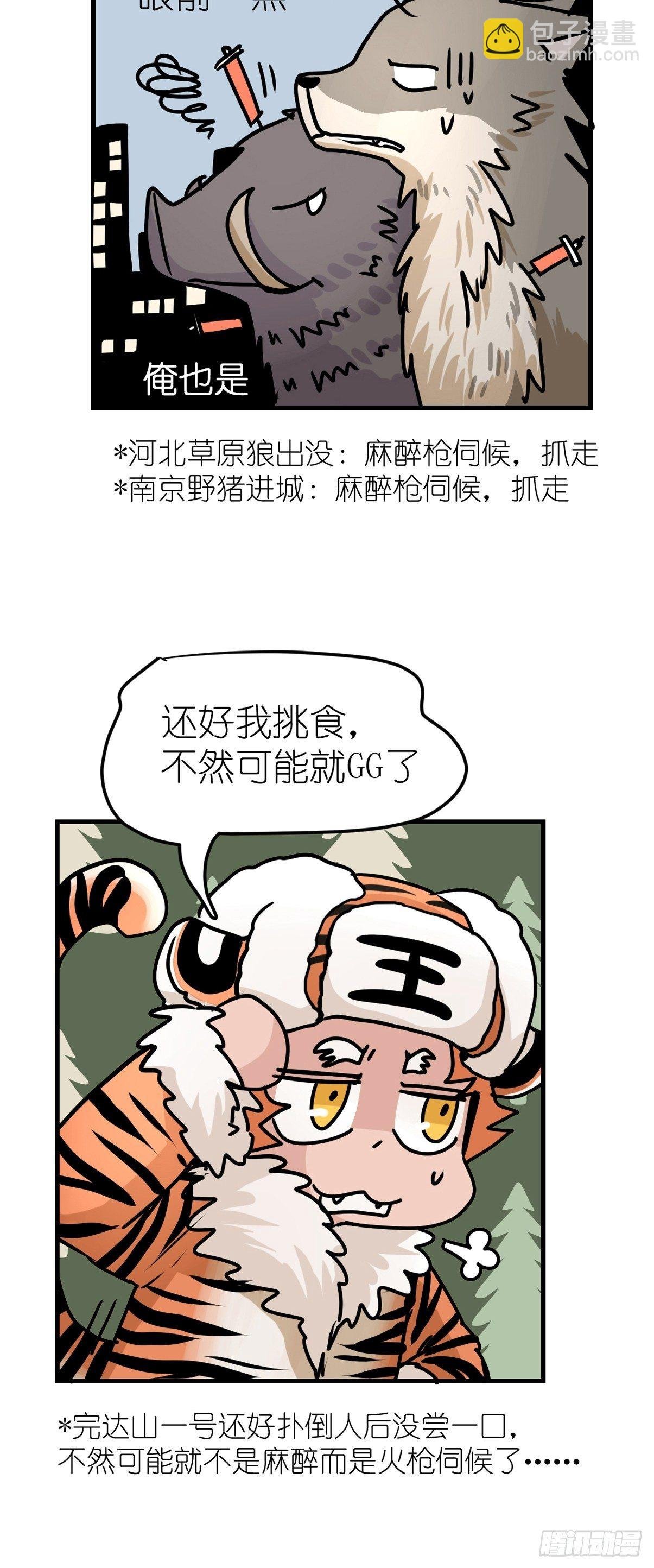 狼传奇：自然运行的力量