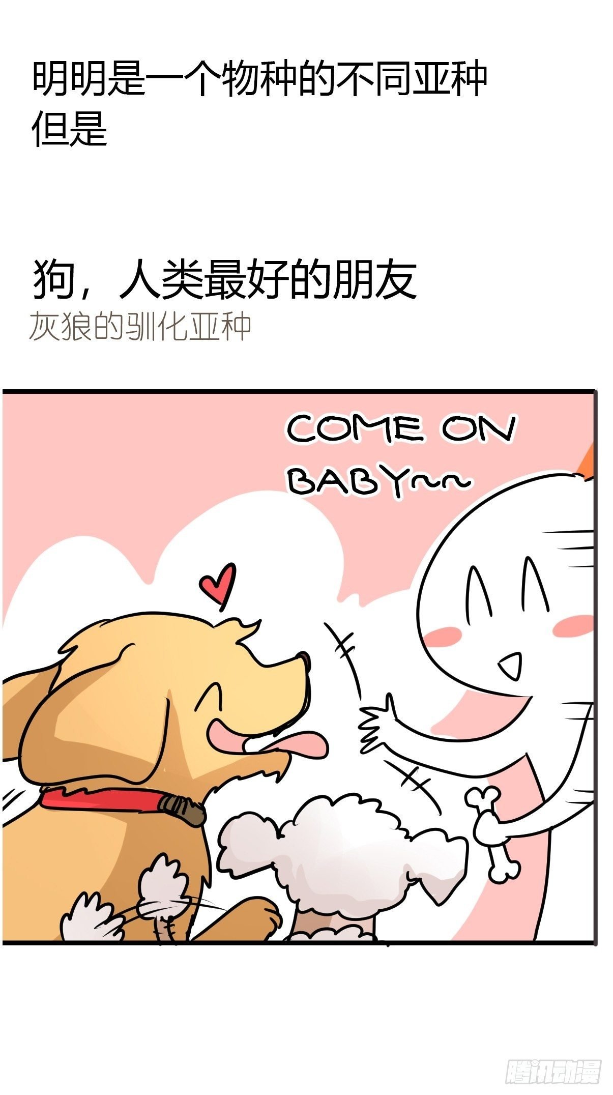 狼传奇：自然运行的力量