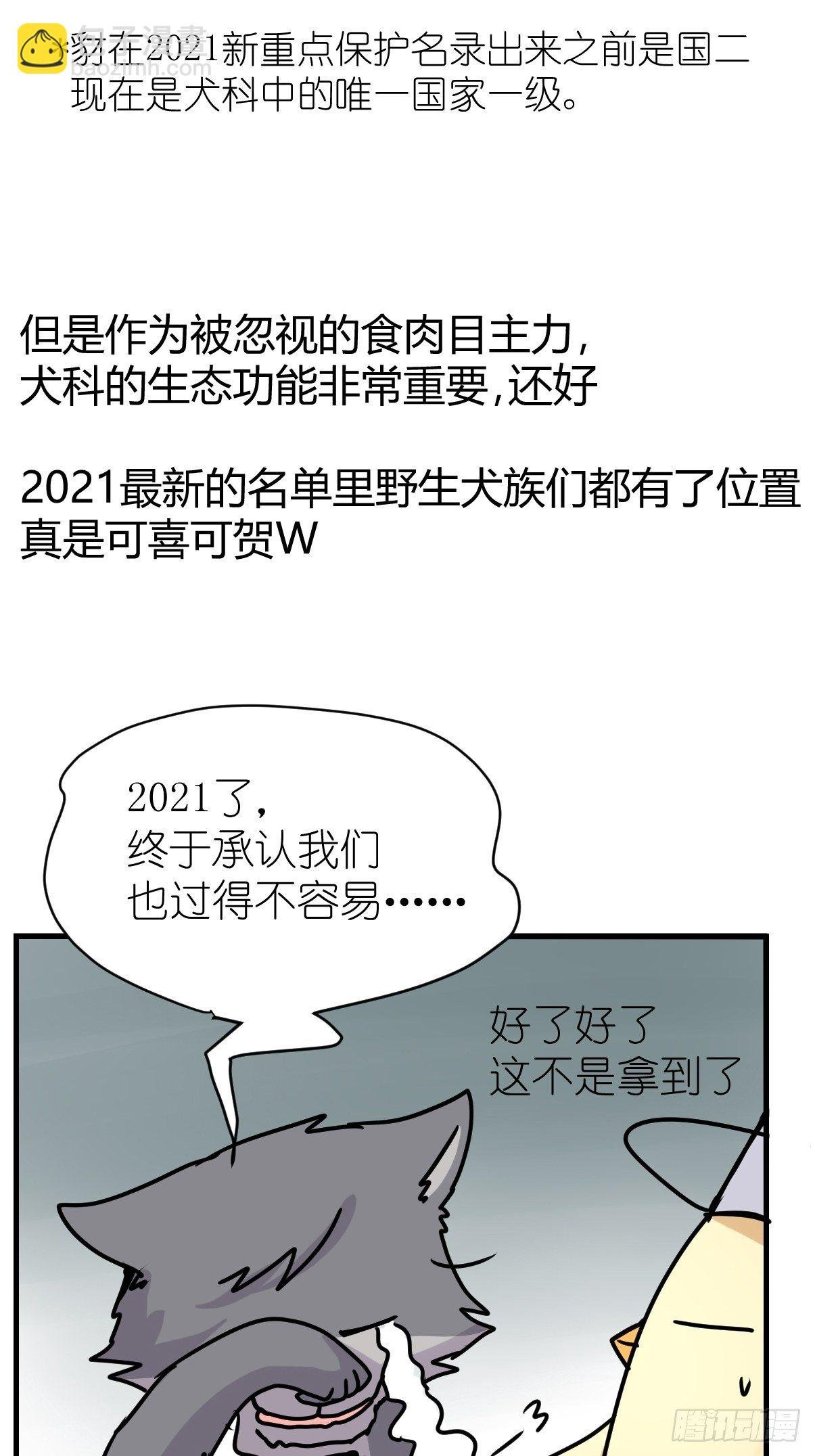 狼传奇：自然运行的力量