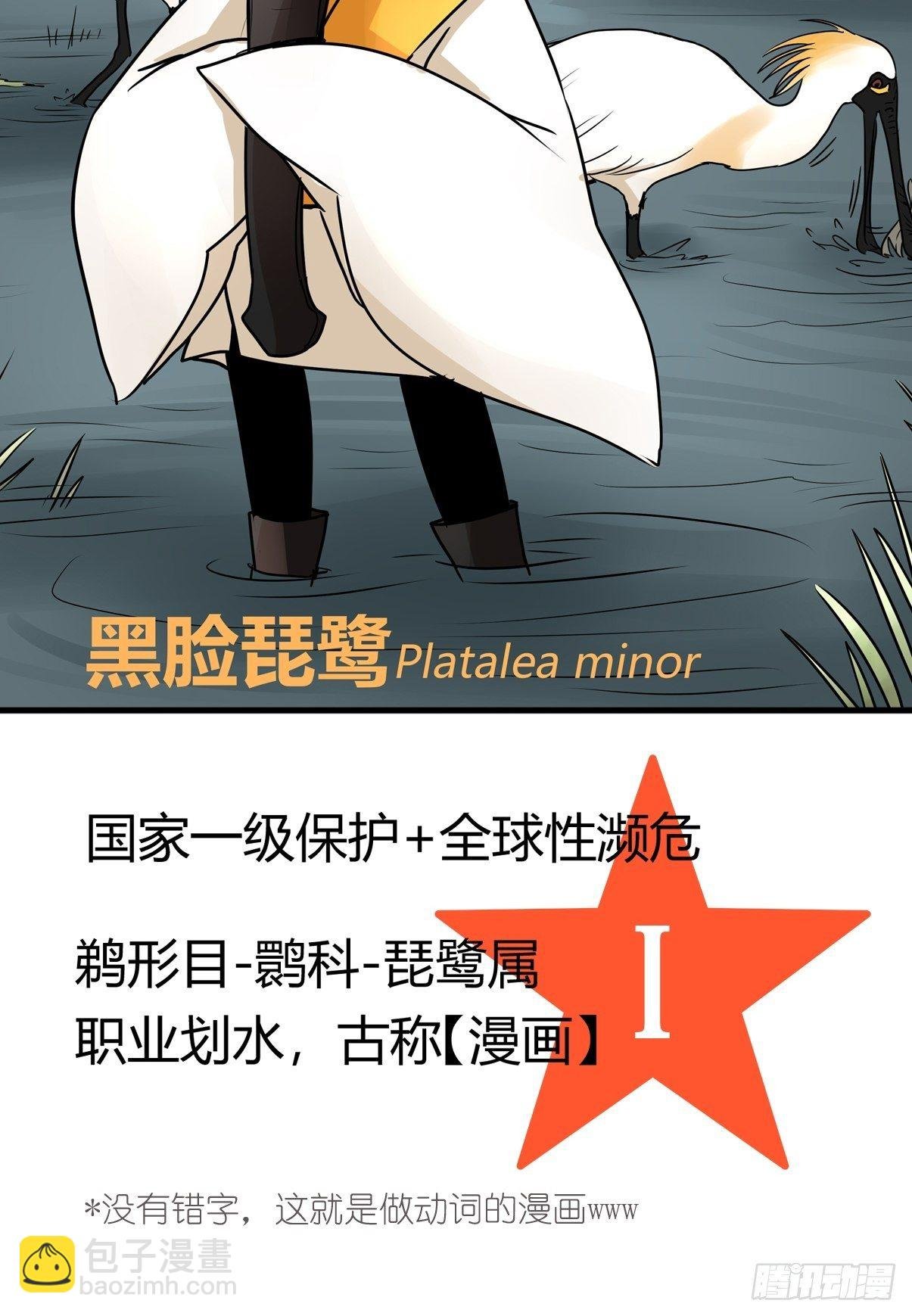 四海篇02：升星天团飞到！