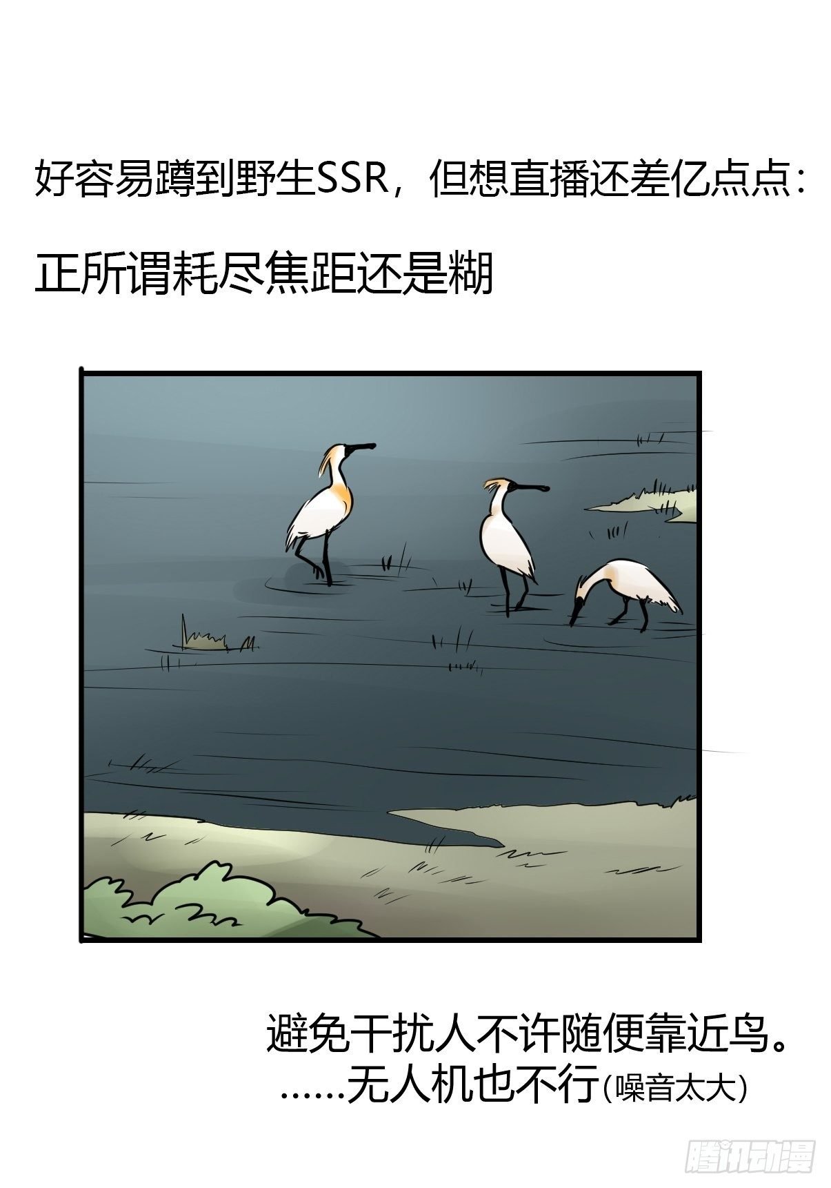 四海篇02：升星天团飞到！