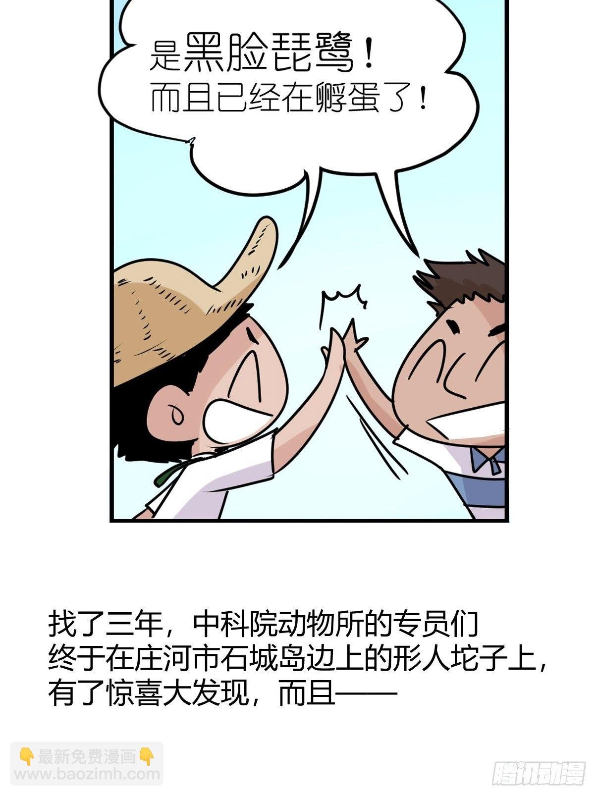 四海篇02：升星天团飞到！