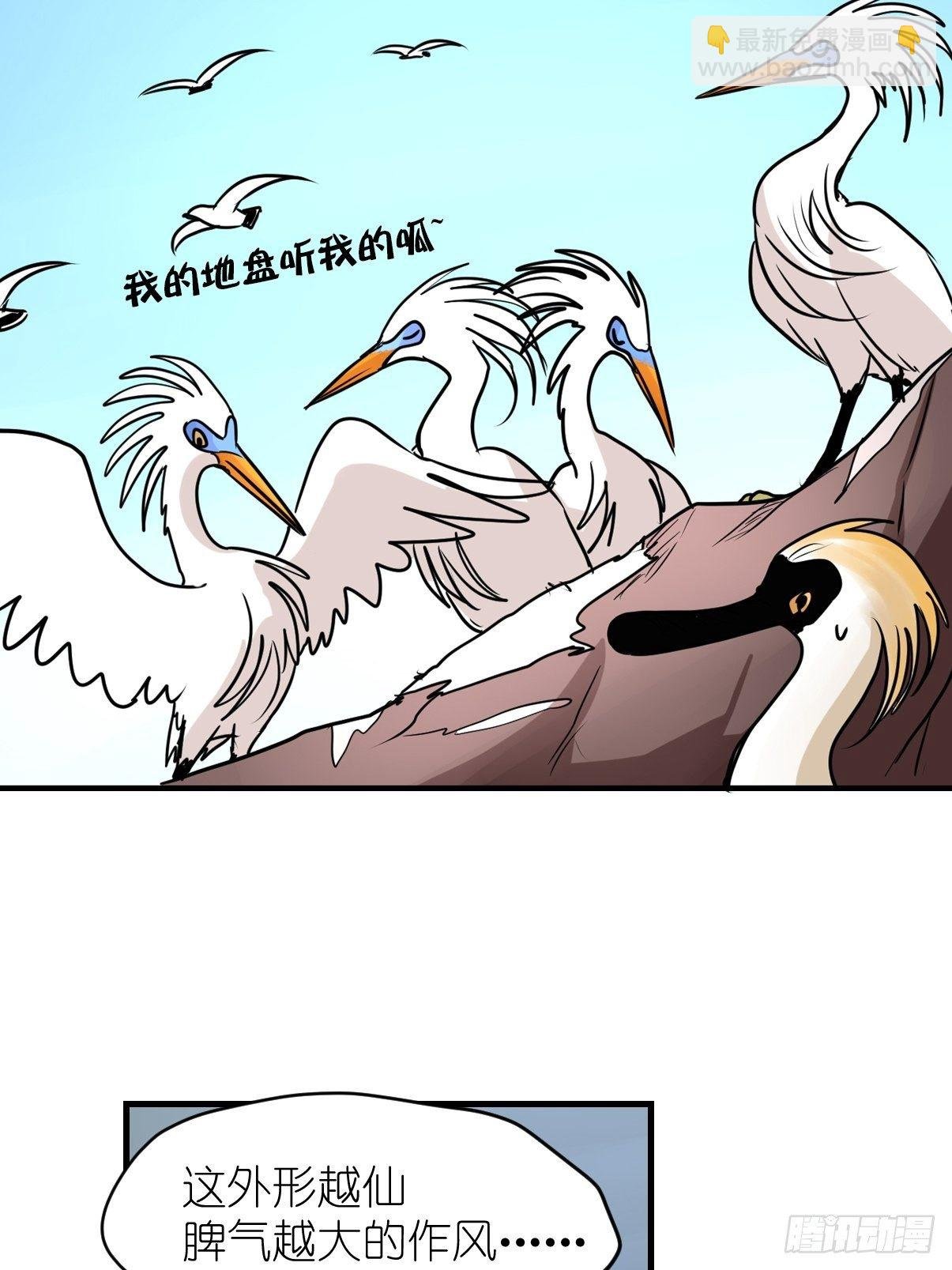 四海篇02：升星天团飞到！