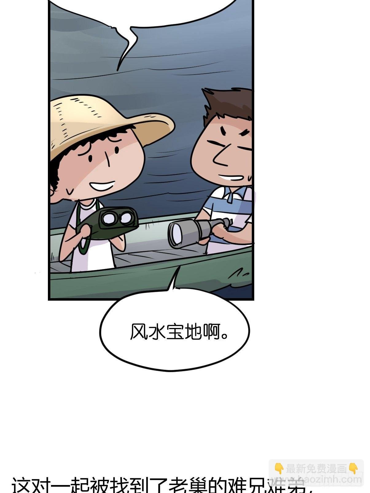 四海篇02：升星天团飞到！