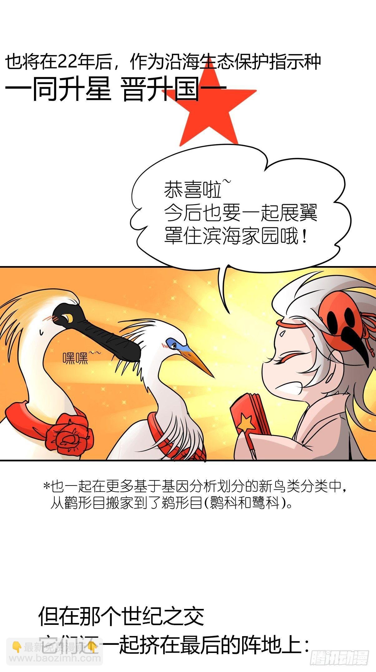 四海篇02：升星天团飞到！