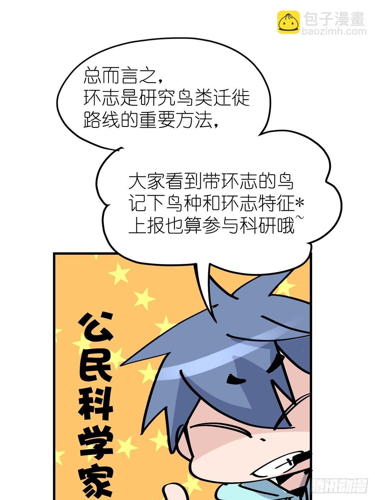 四海篇03：一波未平