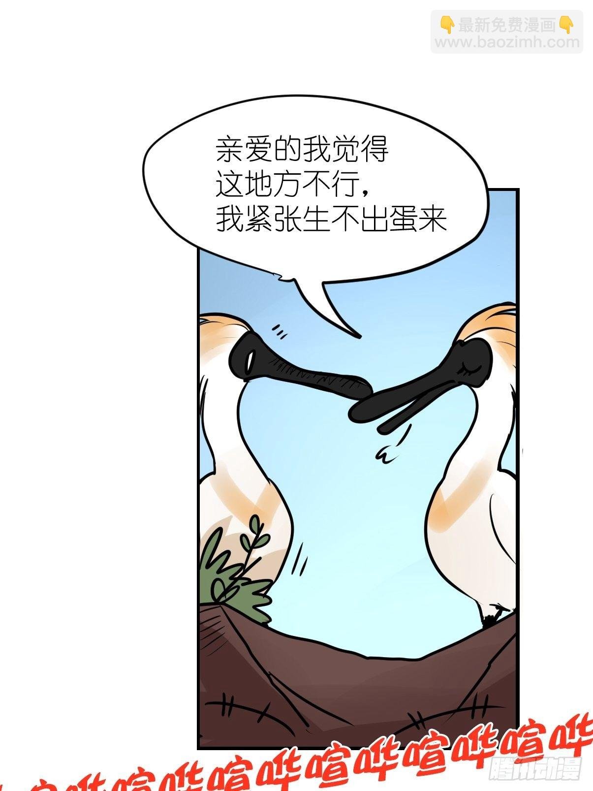 四海篇04：一波又起