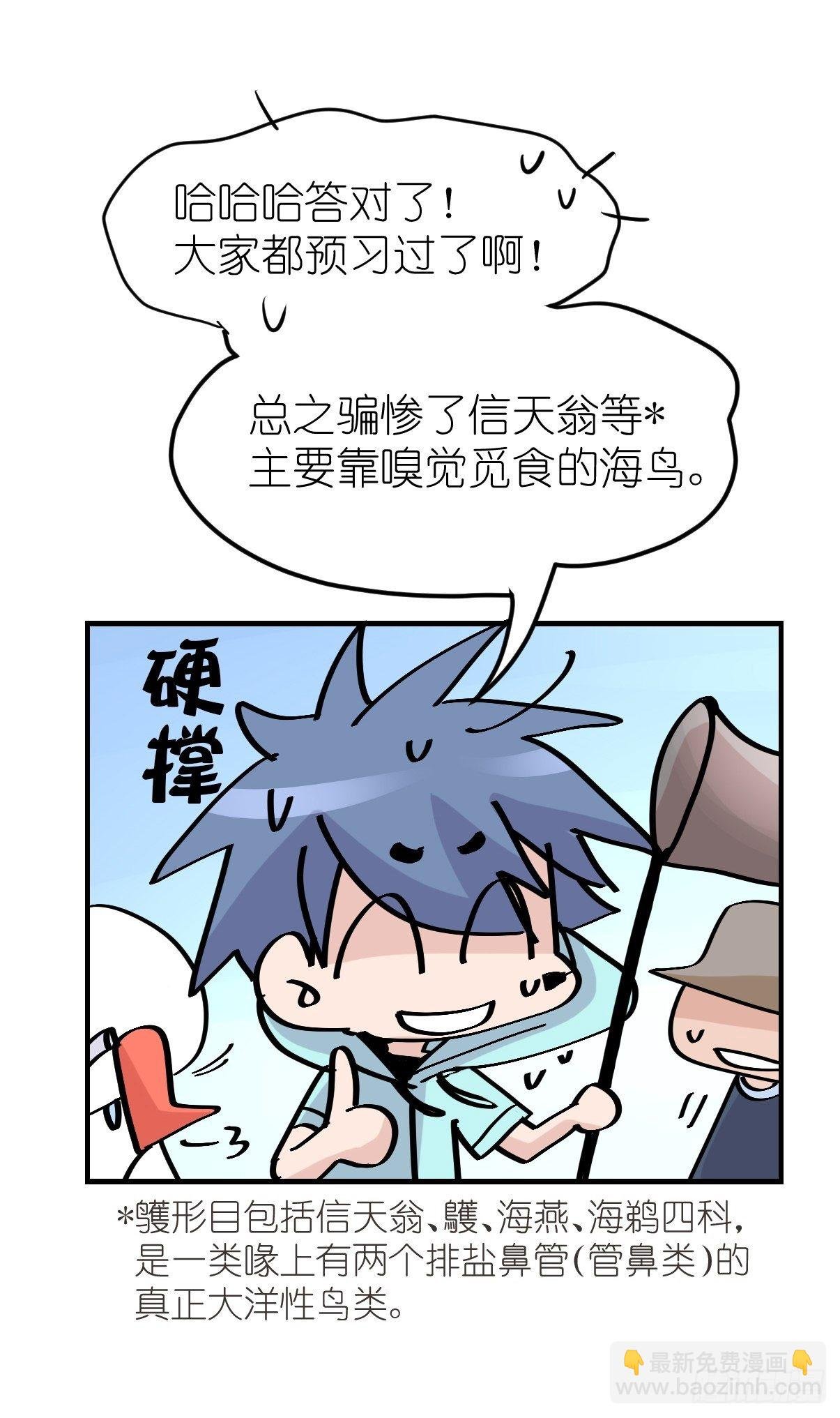 四海篇04：一波又起