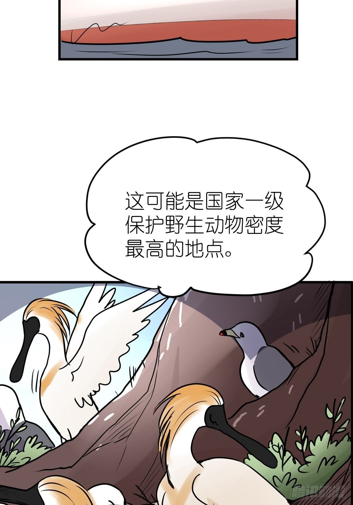 四海篇05：不要给陌生鸟开门