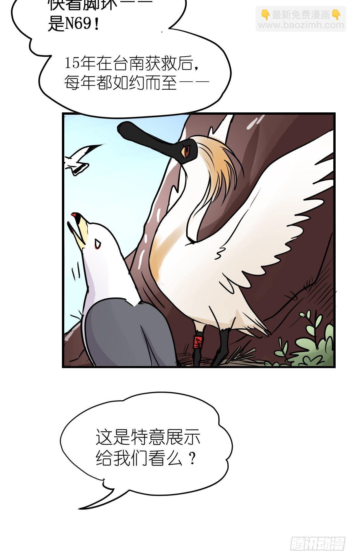 四海篇05：不要给陌生鸟开门