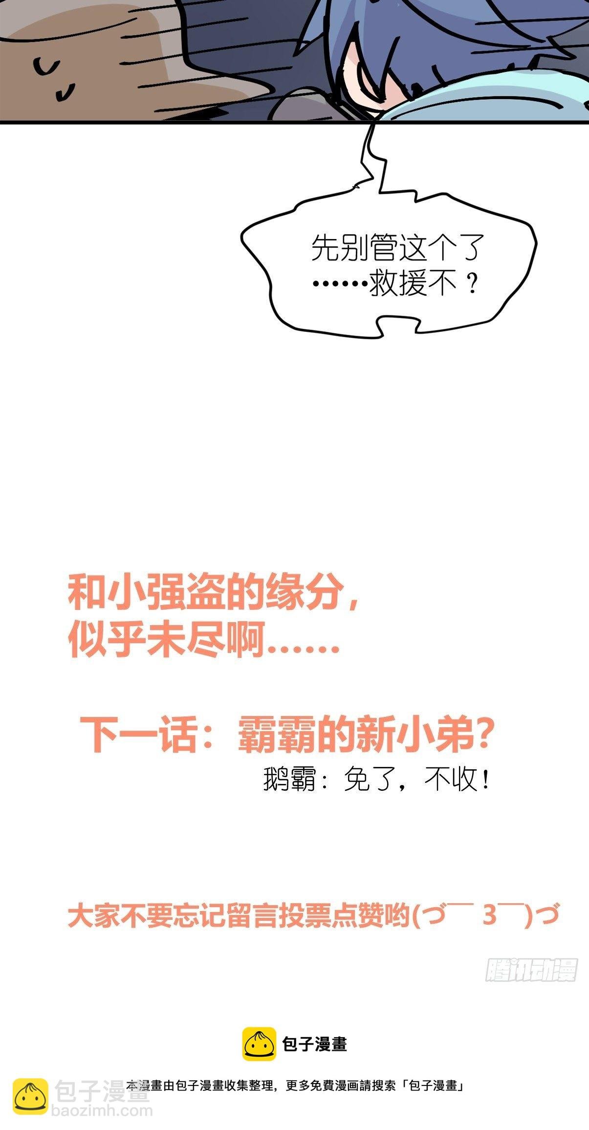 四海篇05：不要给陌生鸟开门