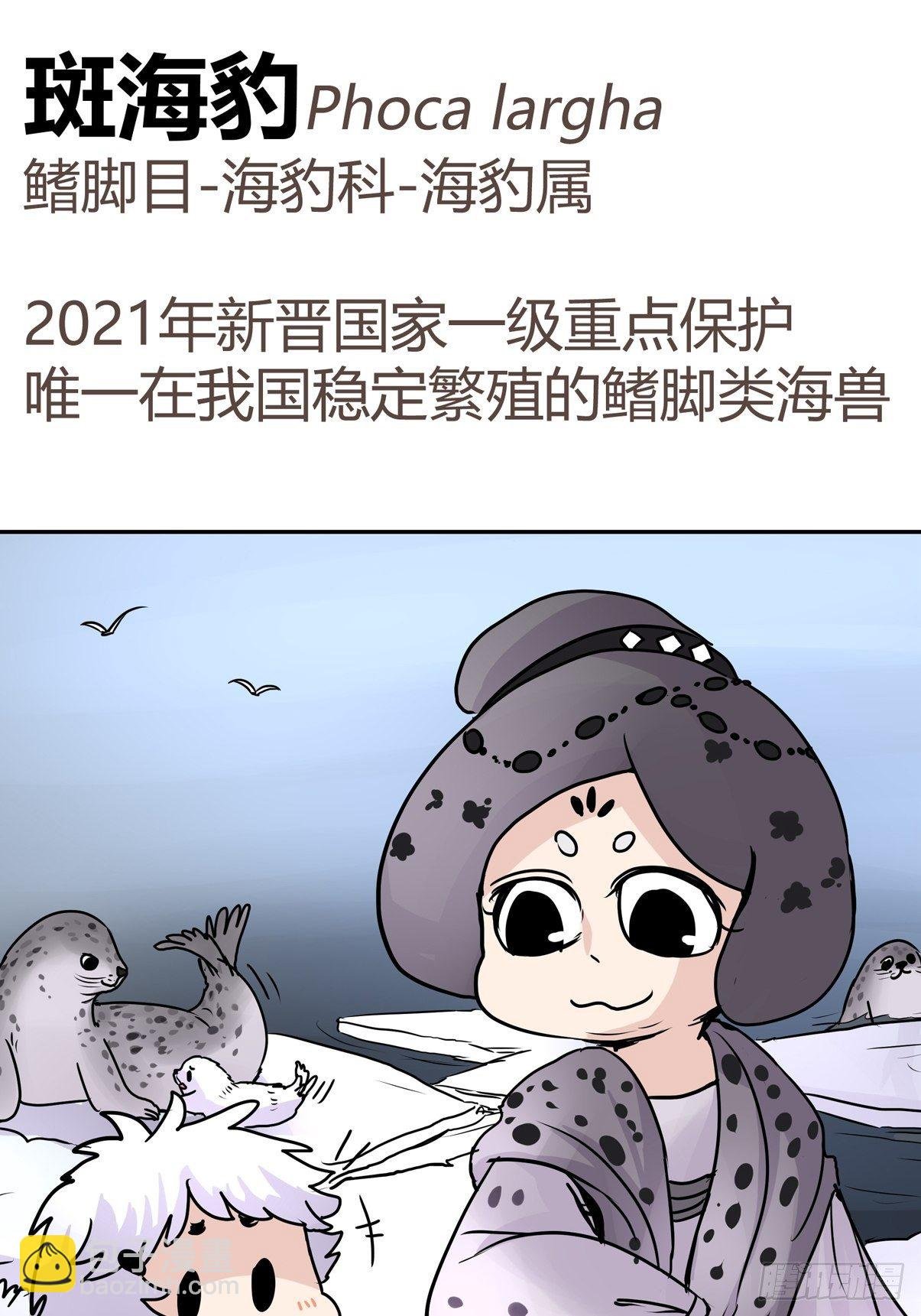 四海篇07：新卡解锁！