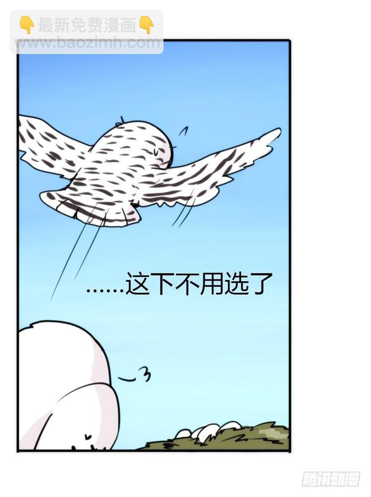 飞吧小少爷：寻找