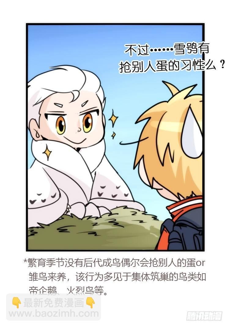 飞吧小少爷：寻找