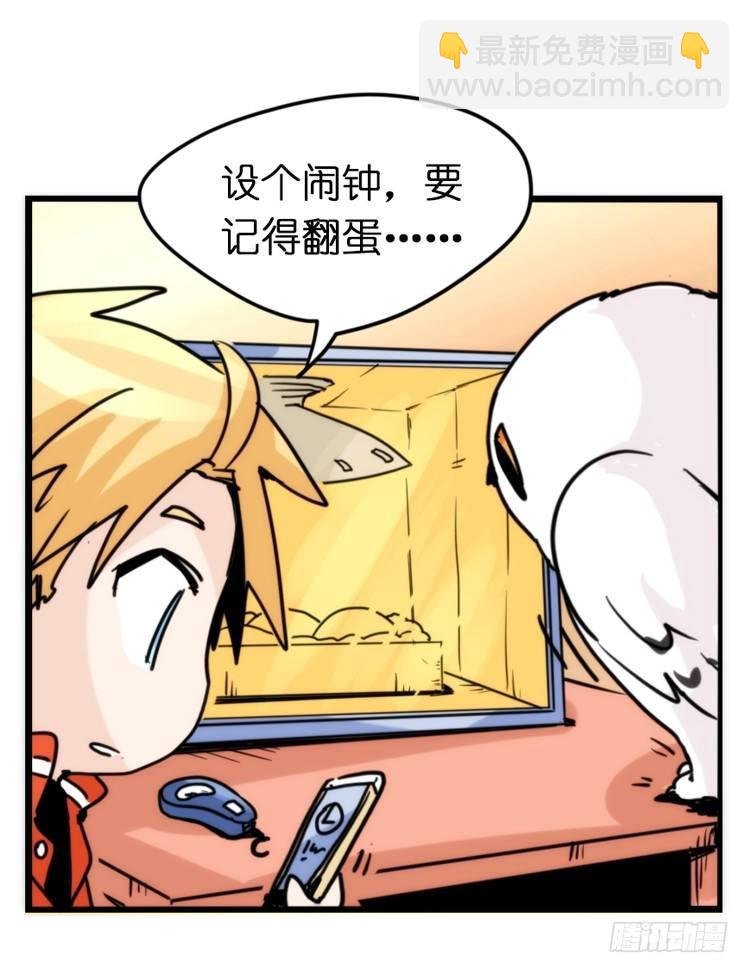 飞吧小少爷：寻找