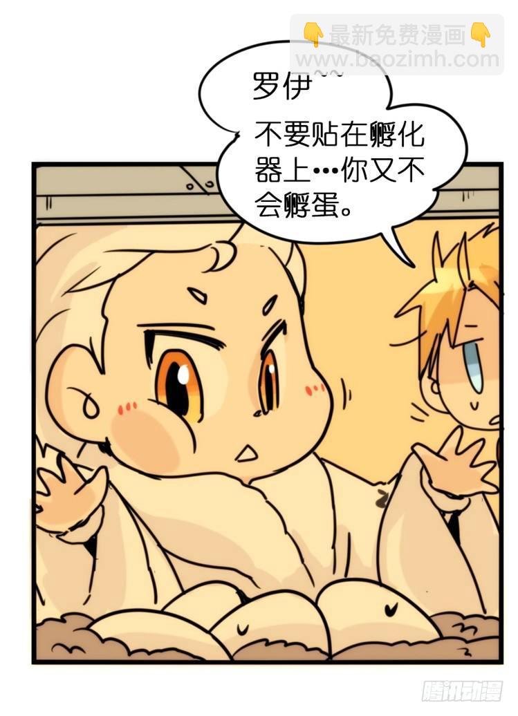 飞吧小少爷：寻找