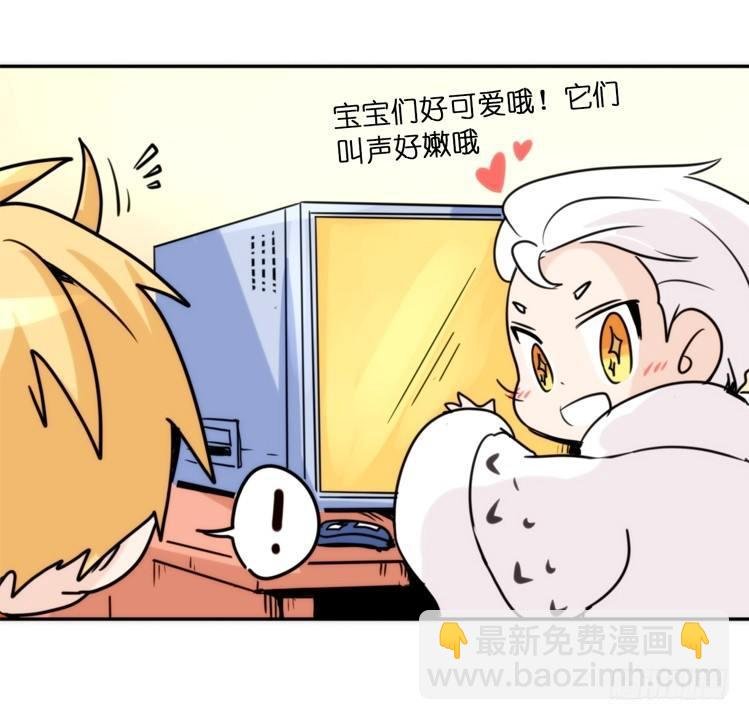 飞吧小少爷：寻找