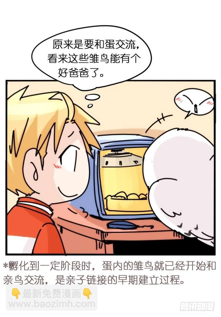 飞吧小少爷：寻找
