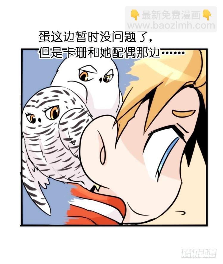 飞吧小少爷：寻找