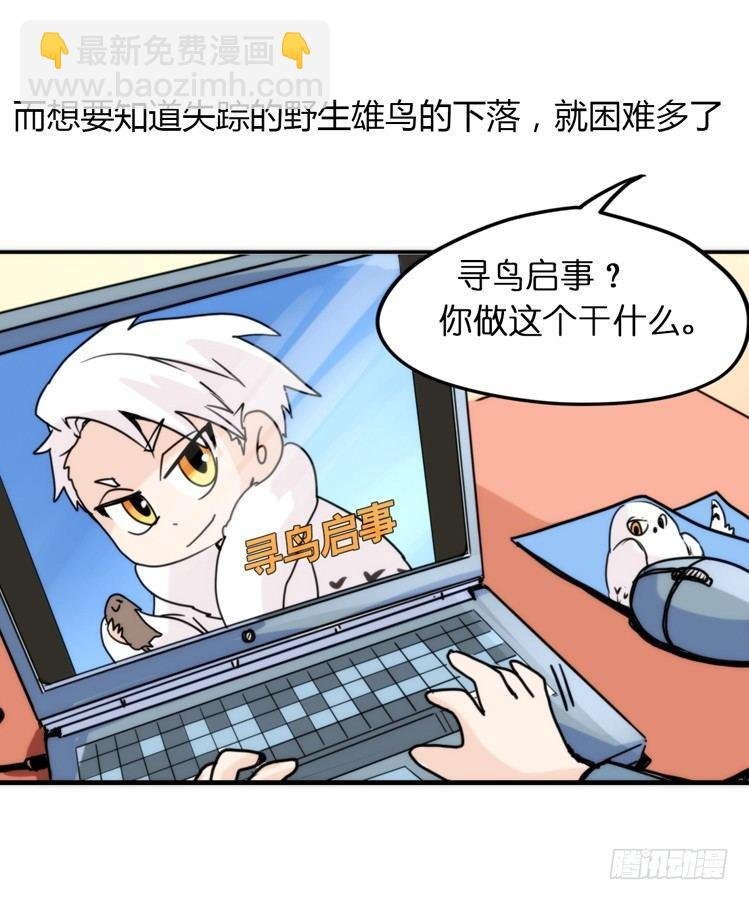 飞吧小少爷：寻找