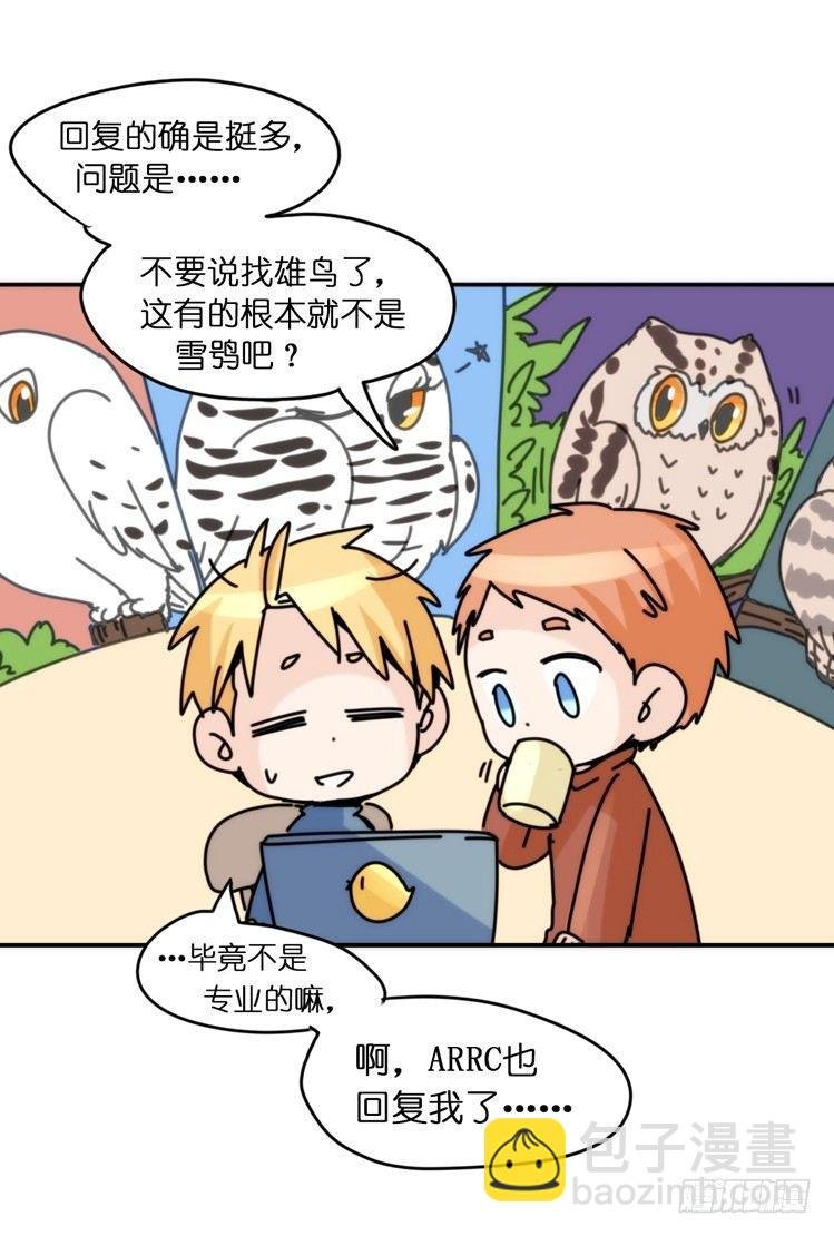 飞吧小少爷：寻找