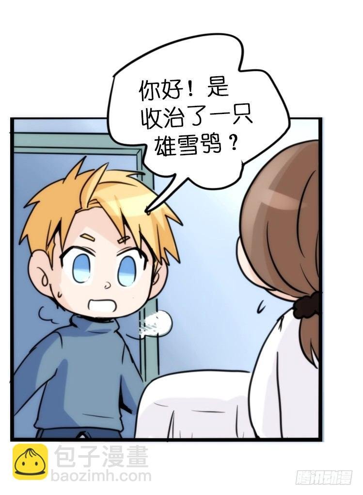 飞吧小少爷：寻找