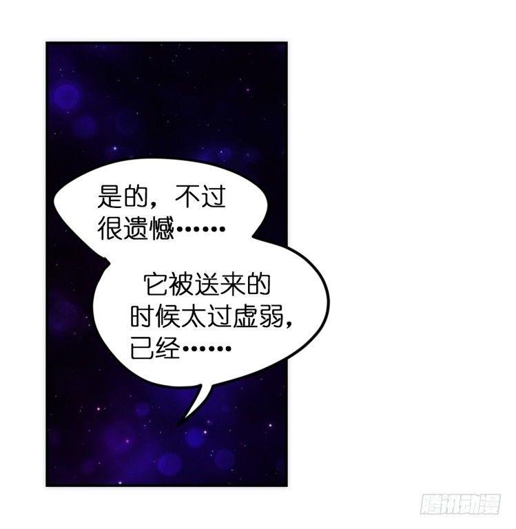 飞吧小少爷：寻找
