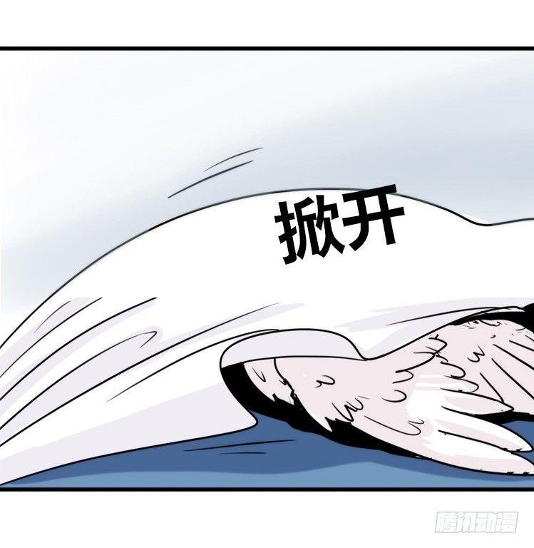 飞吧小少爷：寻找