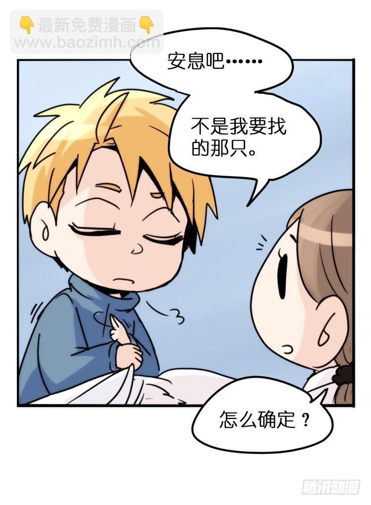 飞吧小少爷：寻找