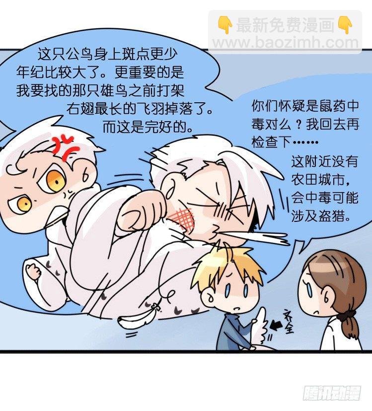 飞吧小少爷：寻找