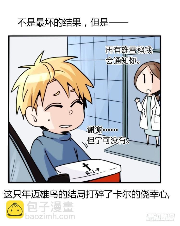 飞吧小少爷：寻找