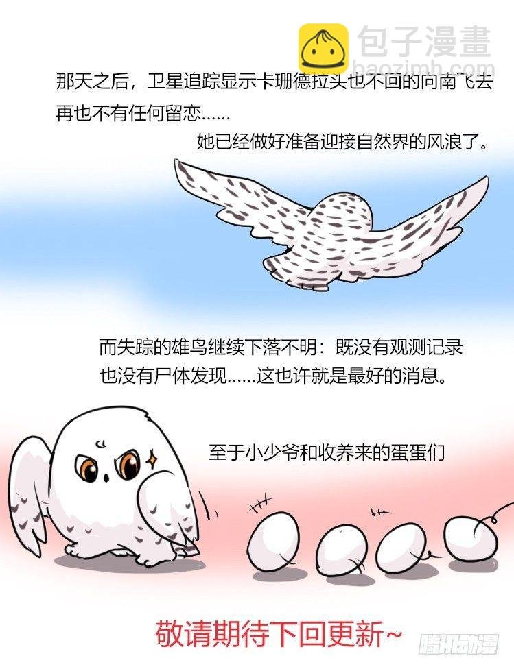 飞吧小少爷：寻找