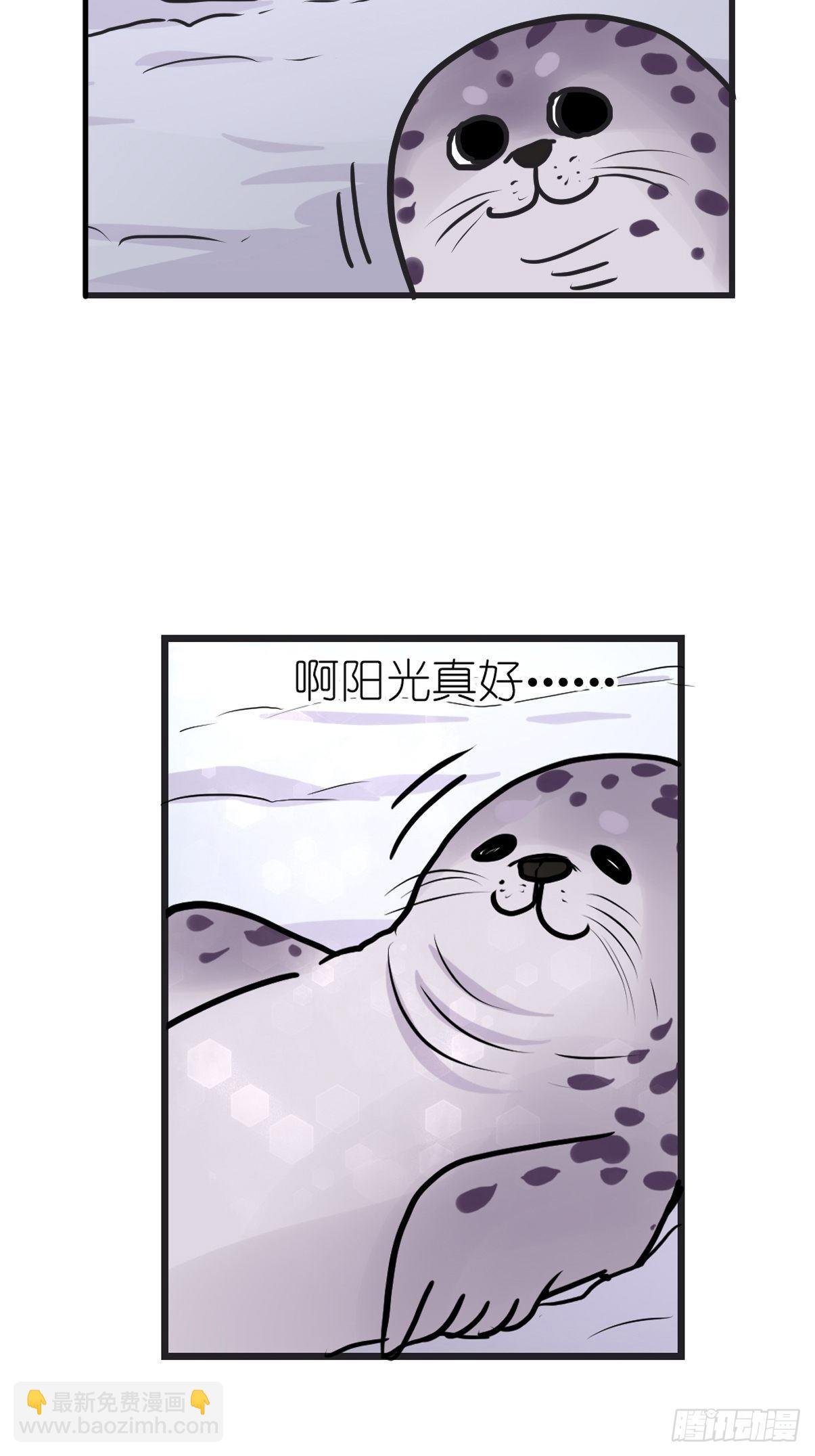 四海篇08：海豹豹的奇幻漂流1