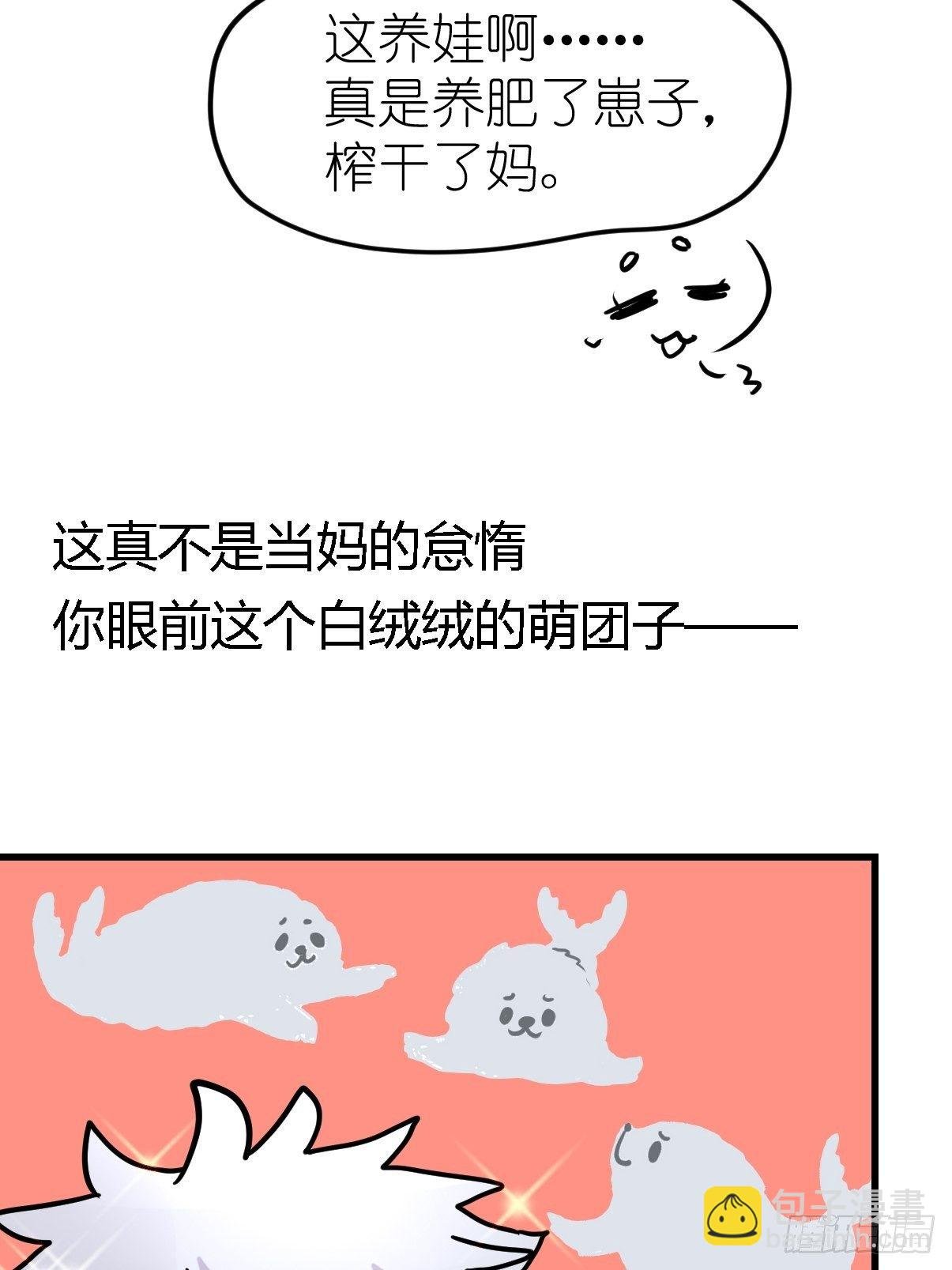 四海篇08：海豹豹的奇幻漂流1
