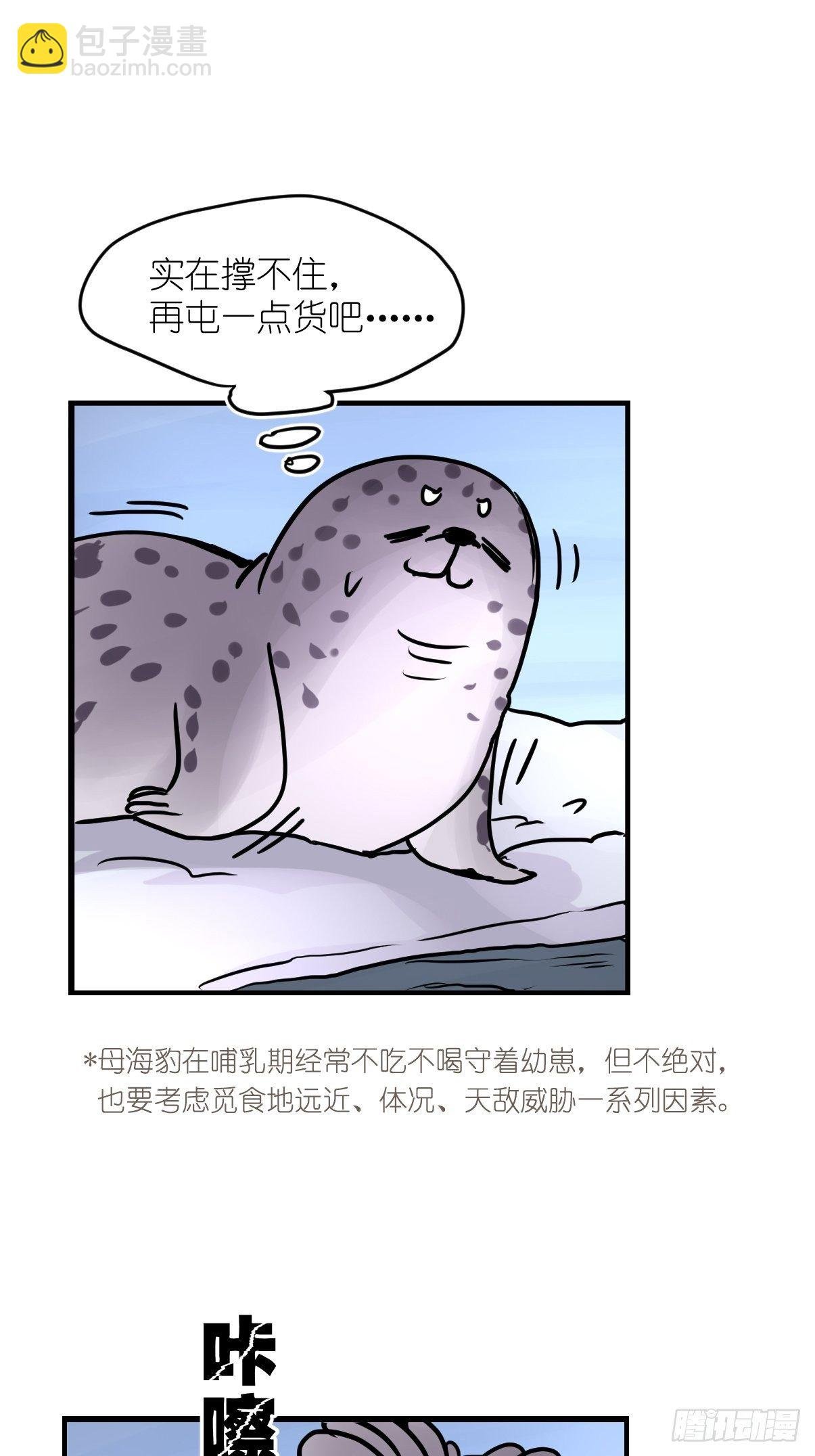 四海篇08：海豹豹的奇幻漂流1
