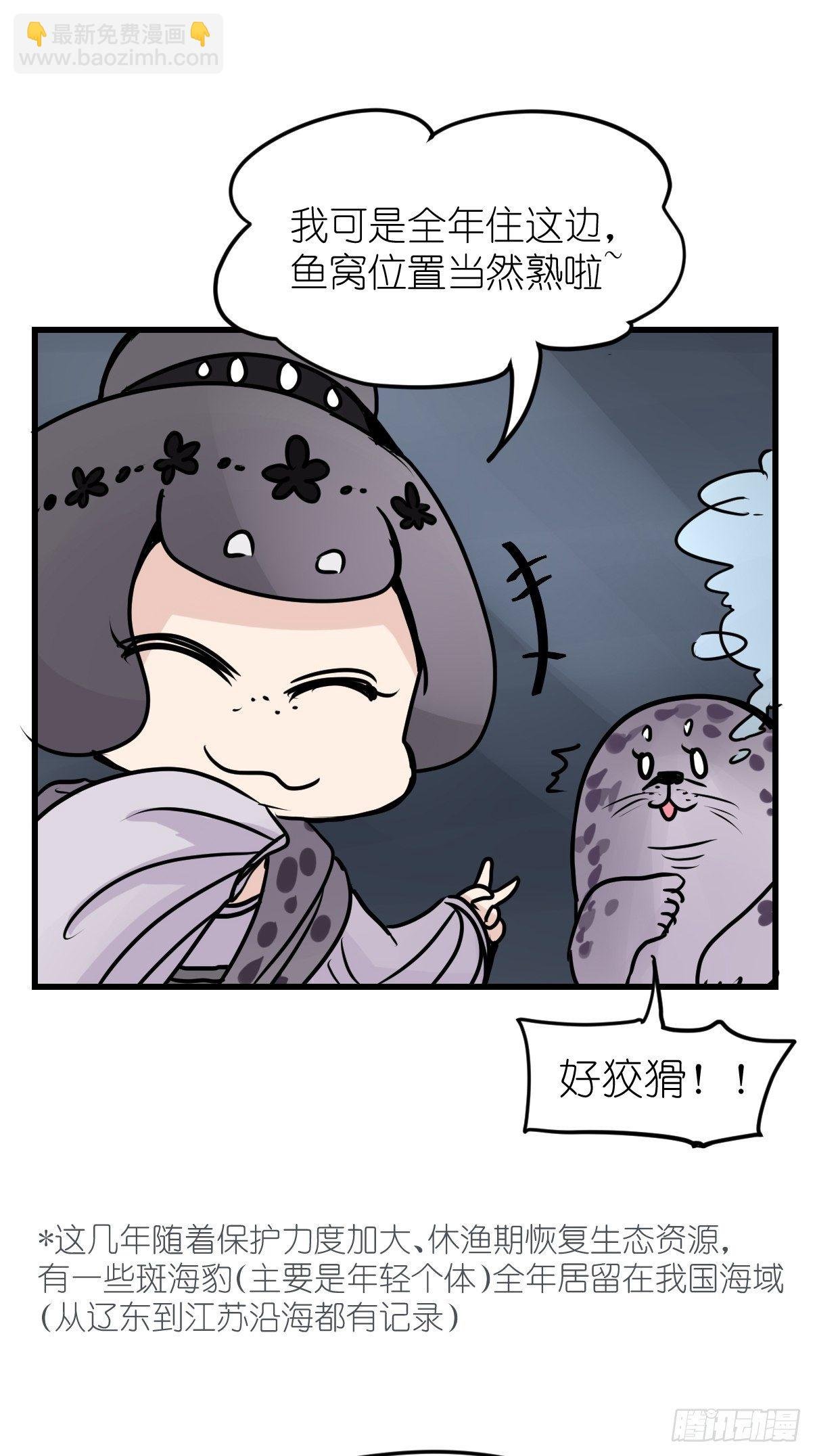 四海篇08：海豹豹的奇幻漂流1