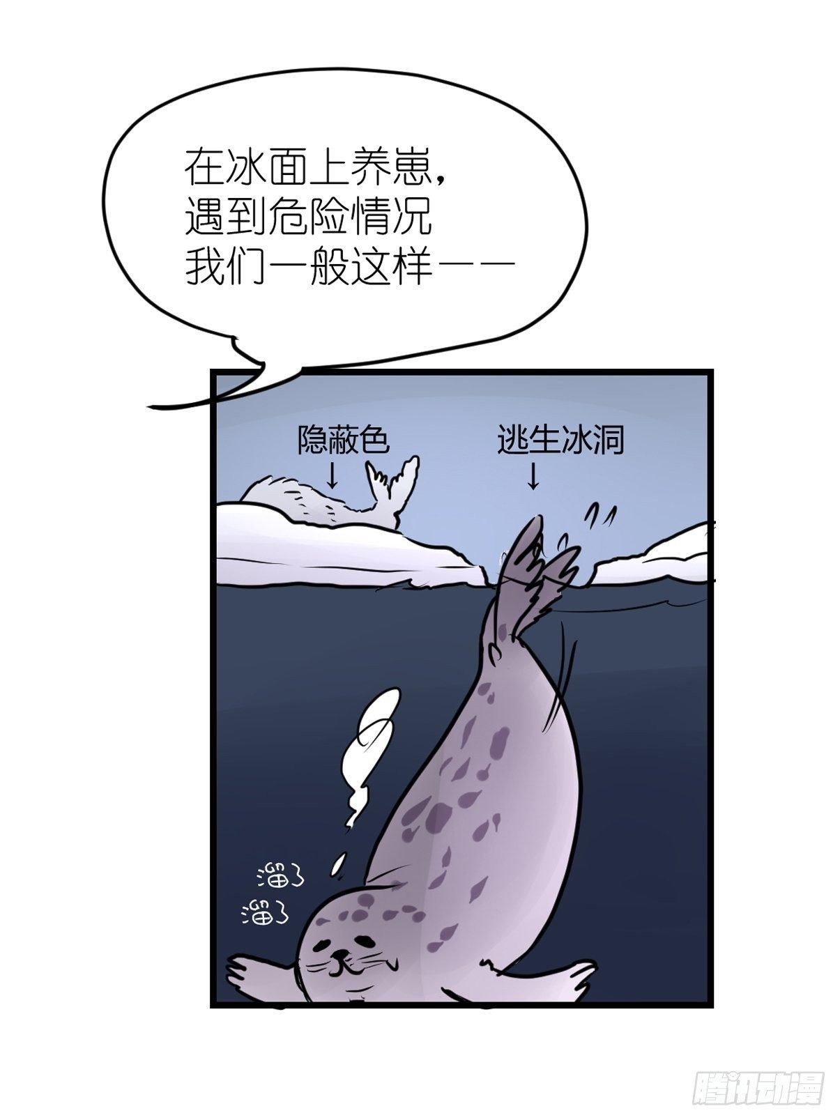 四海篇08：海豹豹的奇幻漂流1