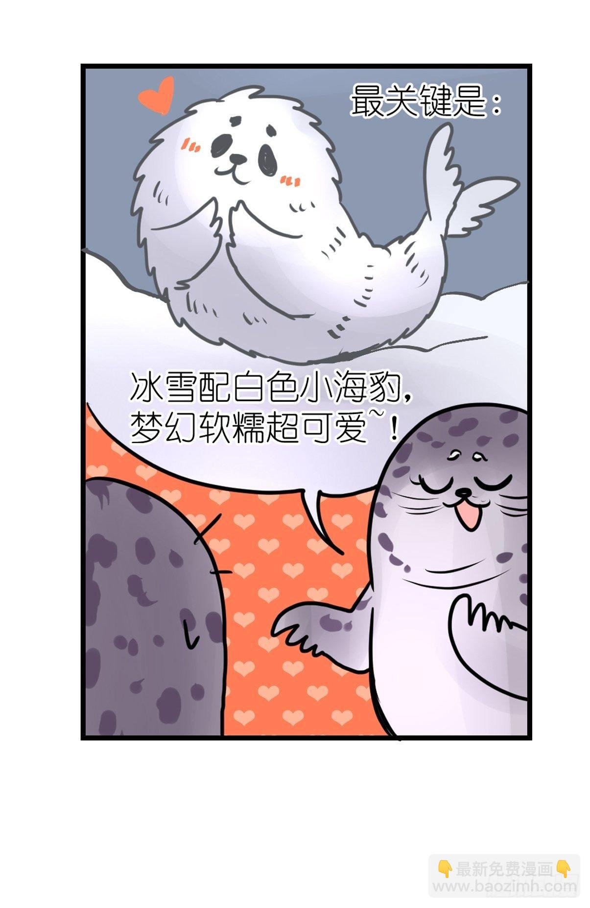 四海篇08：海豹豹的奇幻漂流1