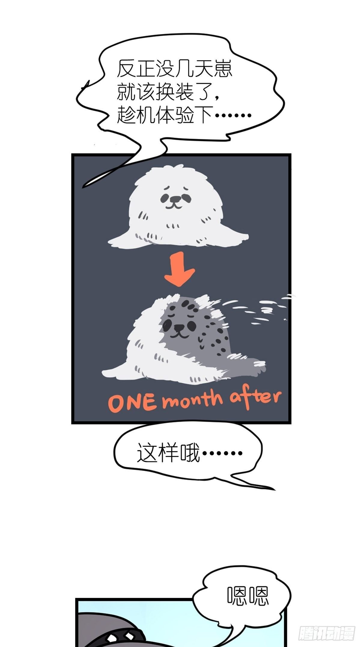 四海篇08：海豹豹的奇幻漂流1