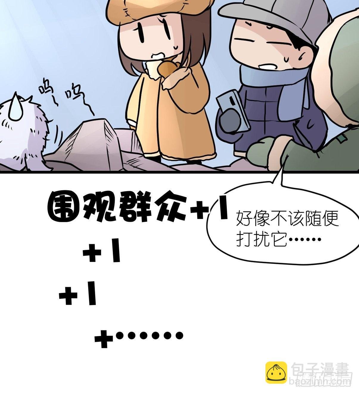 四海篇09：海豹豹的奇幻漂流2