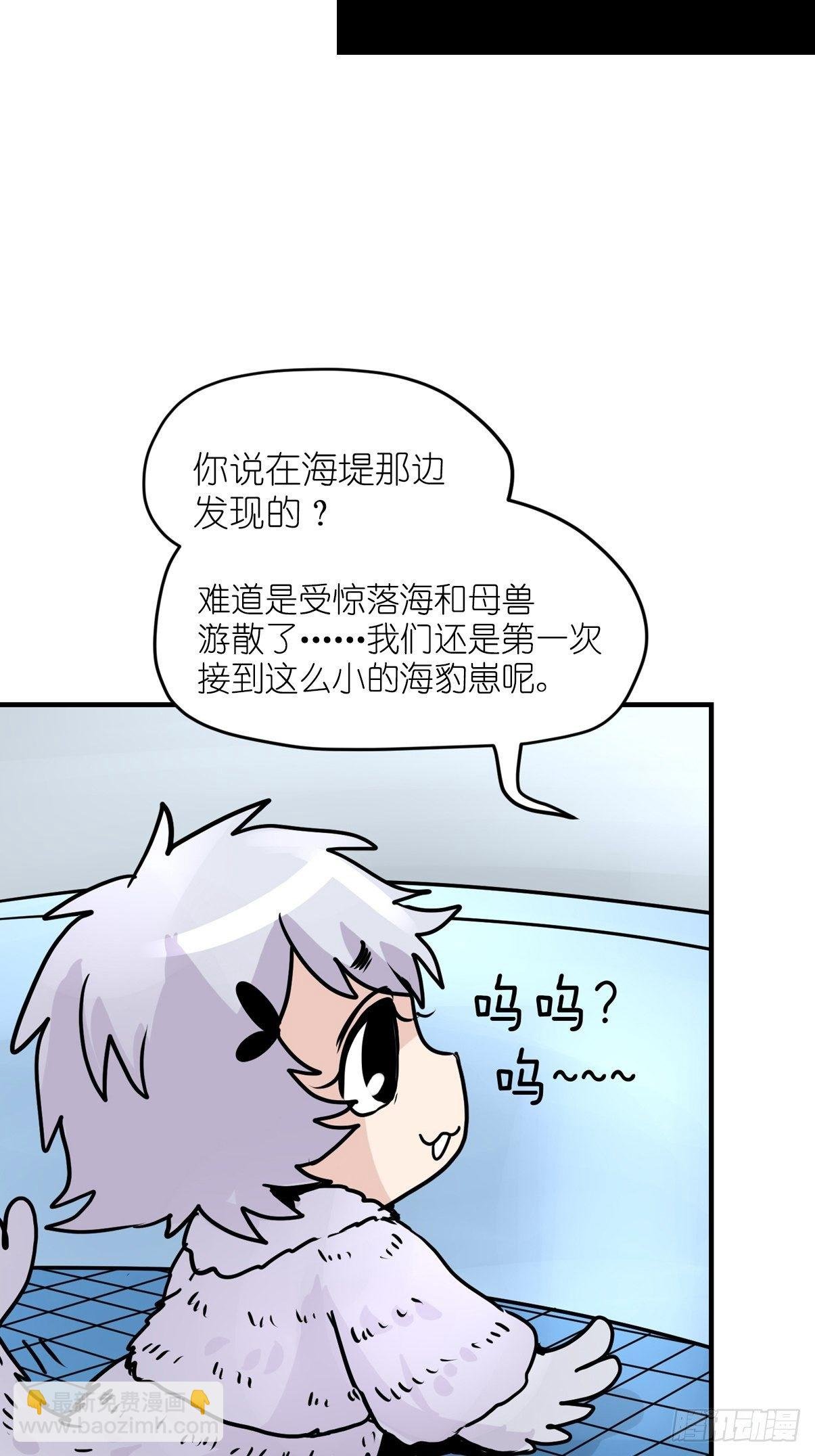 四海篇09：海豹豹的奇幻漂流2