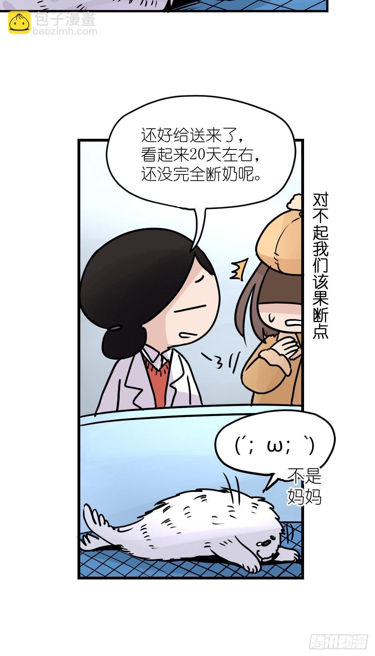 四海篇09：海豹豹的奇幻漂流2