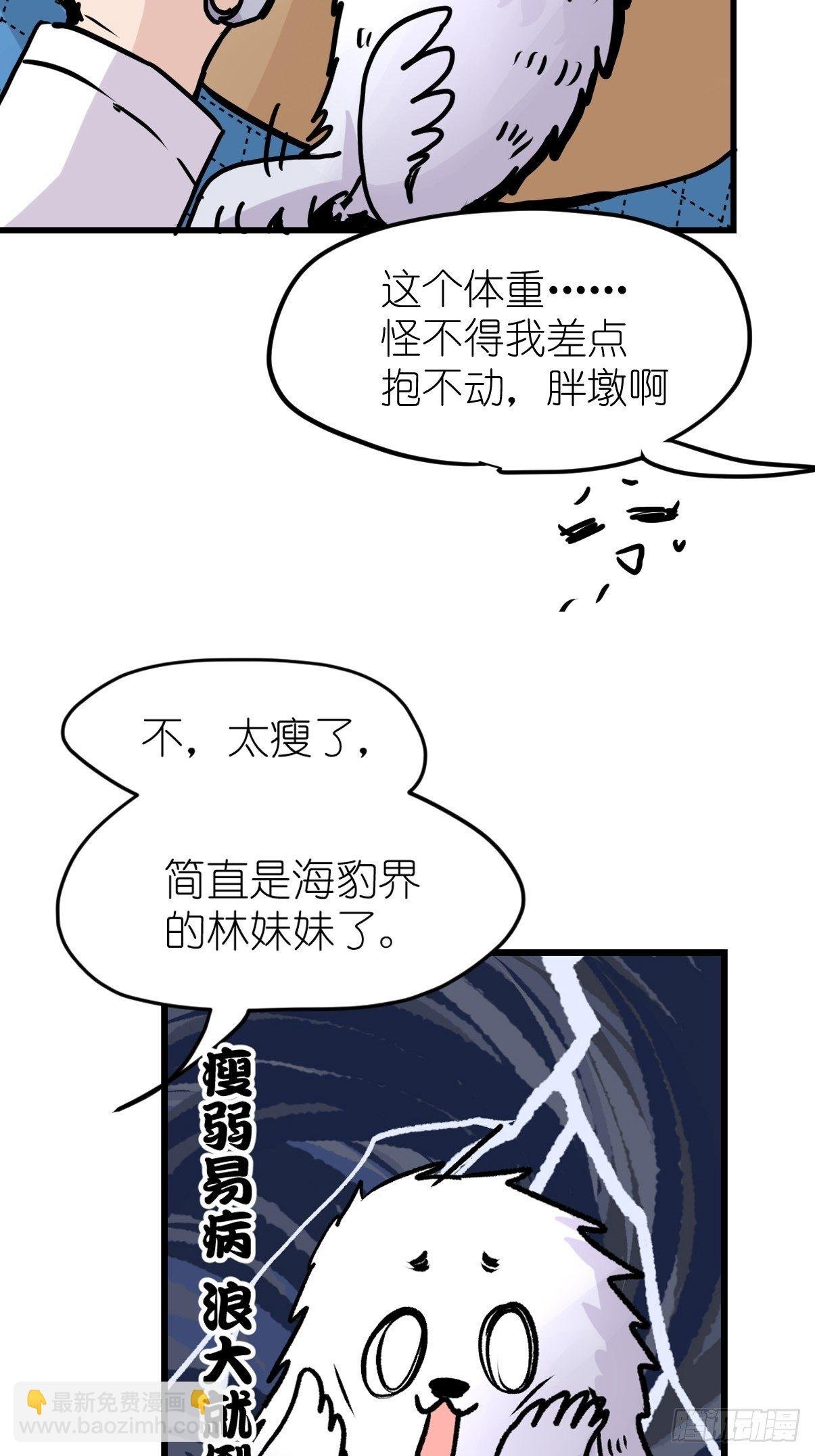 四海篇09：海豹豹的奇幻漂流2